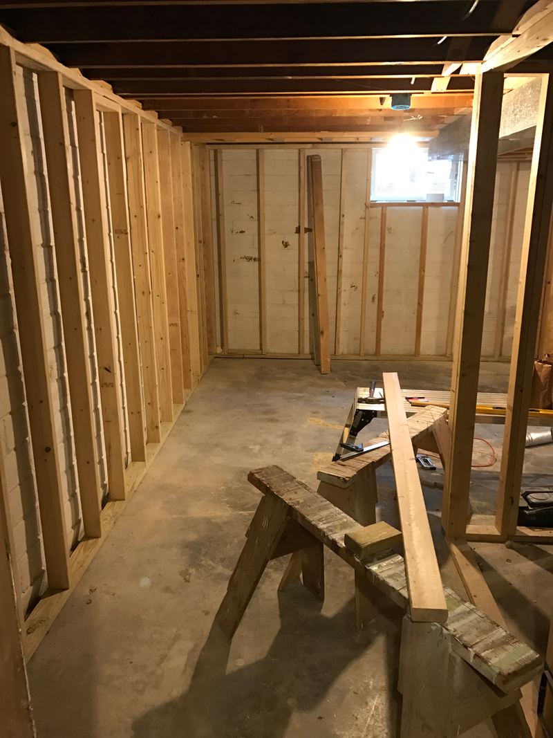 The bedroom walls have studs so we can have spray insulation done. Still need to do the living/tv room... and then the plumbing and electric...